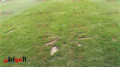 صور.. تدهور أرضية استاد بتروسبورت قبل مباراة الأهلي والإنتاج الحربي