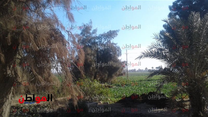 هيئة الأرصاد الجوية
