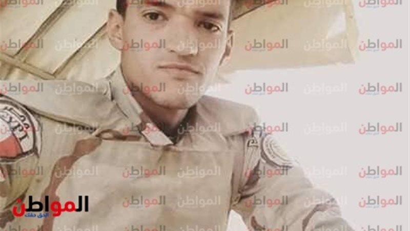 المواطن
