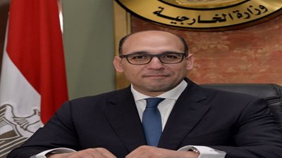 فيديو| تفاصيل مشاركة مصر فى الاجتماع التشاورى بأيرلندا