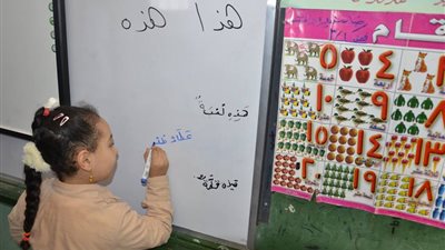 لجنة حقوق الإنسان بكفر الشيخ تتفقد المدارس والوحدات الصحية