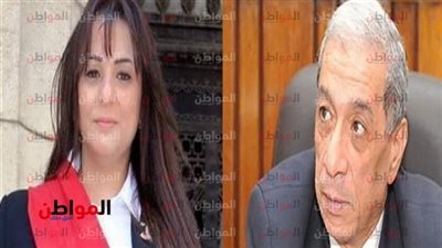 شبكة دولية تبرز حادثة اختراق صفحة ابنة المستشار هشام بركات