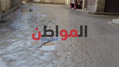 صور| «الشمس الصغرى» تضرب الإسكندرية بأمطار متوسطة