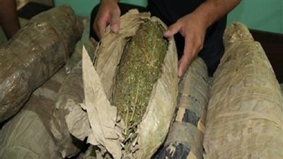 أمن الإسماعيلية يحبط شحنة بانجو كبيرة شرق المجرى الملاحي 