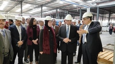 محافظ البحيرة ورئيس جهاز تنمية المشروعات يتفقدان المنطقة الصناعية
