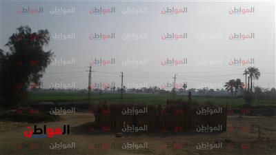 تعرف على حالة الطقس ببني سويف اليوم الأحد