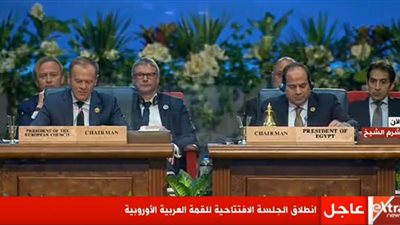 السيسي خلال القمة العربية الأوربية الأولى: هذا هو الفرق بين المعارضة السلمية والإرهاب 