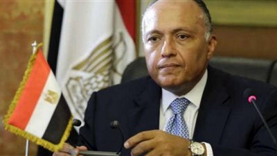 شكري: السيسي أكد لرئيس الوزراء الإيطالي على الاهتمام بقضية ريجيني