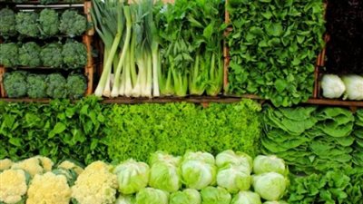 سعر الخضروات في سوق العبور اليوم الثلاثاء .. الكوسة ترجع إلى الخلف