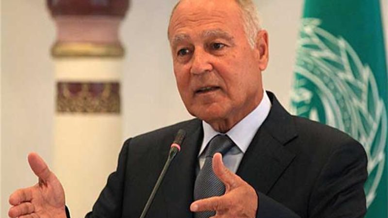 أبو الغيط
