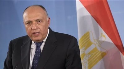 «شكري»: بلادي مهتمة بالتأكيد على حقوق الإنسان