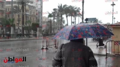 أمطار غزيرة تضرب الإسكندرية بالتزامن مع افتتاح الترام الإلكتروني 