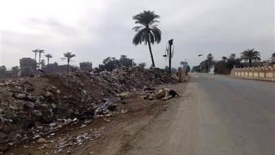 فيديو| نفوق المئات من الماشية بسوهاج.. والأهالي تستغيث