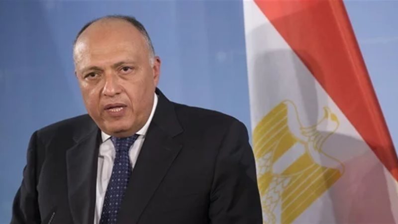 سامح شكري