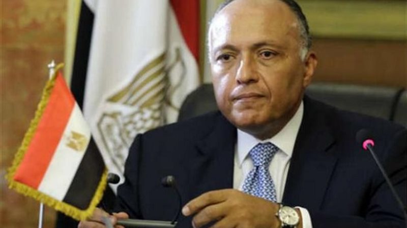 سامح شكرى 