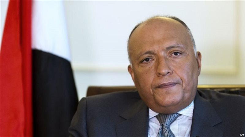 سامح شكرى 