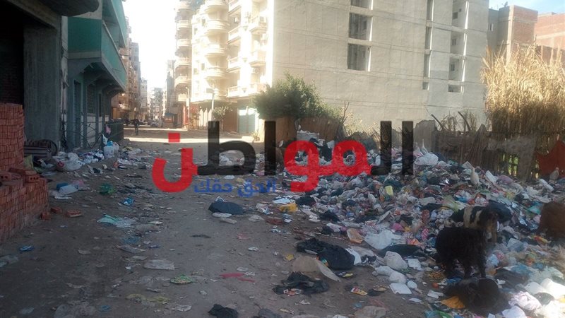 انتشار أكوام القمامة