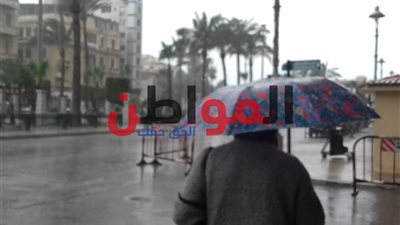 أمطار متوسطة تضرب الإسكندرية.. و«الصرف»: مستعدين