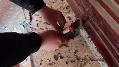 صور| غلق وتشميع 11 كافتيريا غير مرخصه بالزقازيق