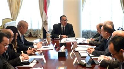 توجيهات الحكومة للقضاء على مشكلات الاستثمار في مطروح