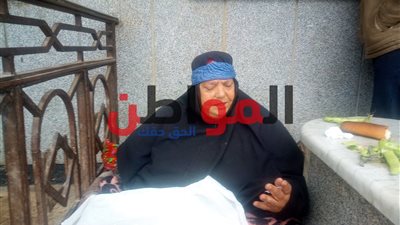 فيديو| «أم سومة» تناشد المسئولين الحصول على معاش تكافل وكرامة