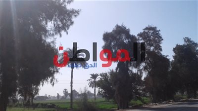 تعرف على درجات الحرارة اليوم الجمعة ببني سويف
