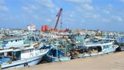 عودة حركة الصيد ببحيرة البرلس بعد تحسن الأحوال الجوية