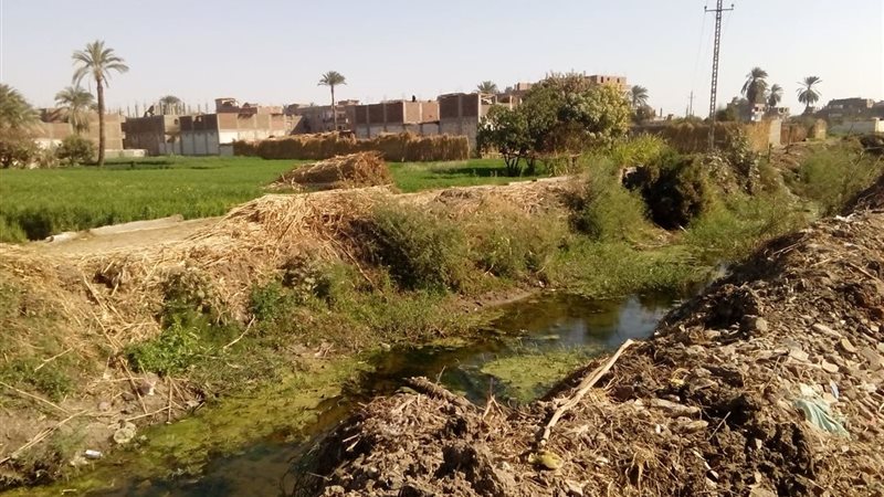 نقص المياه في الترع