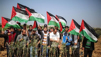الصحة الفلسطينية: إصابة 17 شخص في جمعة باب الرحمة 