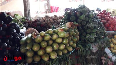 أسعار الخضروات والفاكهة بأسواق المنوفية اليوم السبت