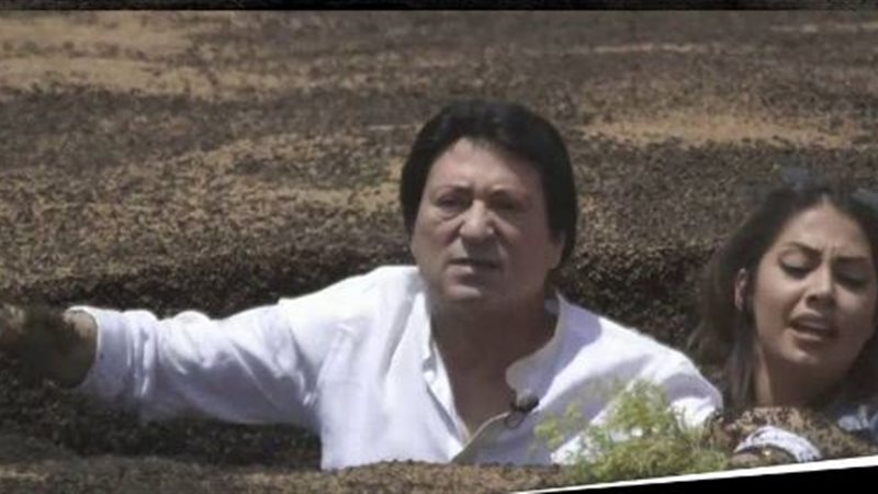 محمد الحلو فى رامز
