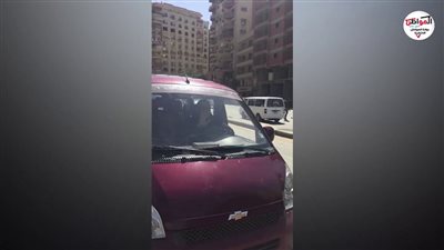 فيديو| سائقة الهرم ست بـ 100 راجل و«قرش حلال»