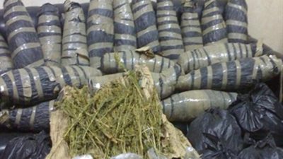 القبض علي تشكيل عصابى لتهريب البانجو في الاسماعيلية