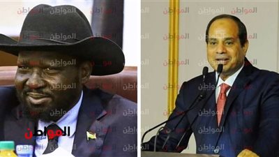 من الاعتراف إلى التأمين.. علامات القوى المصرية الجنوب سودانية 