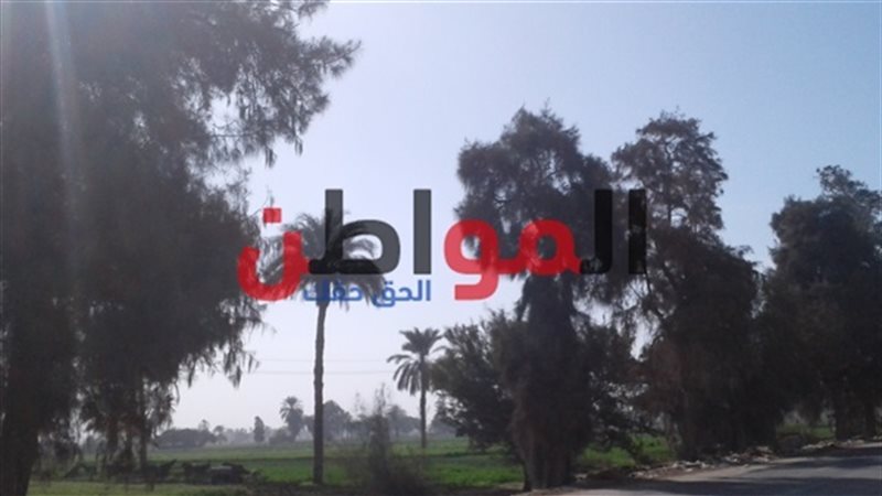 حالة الطقس بالبحيرة