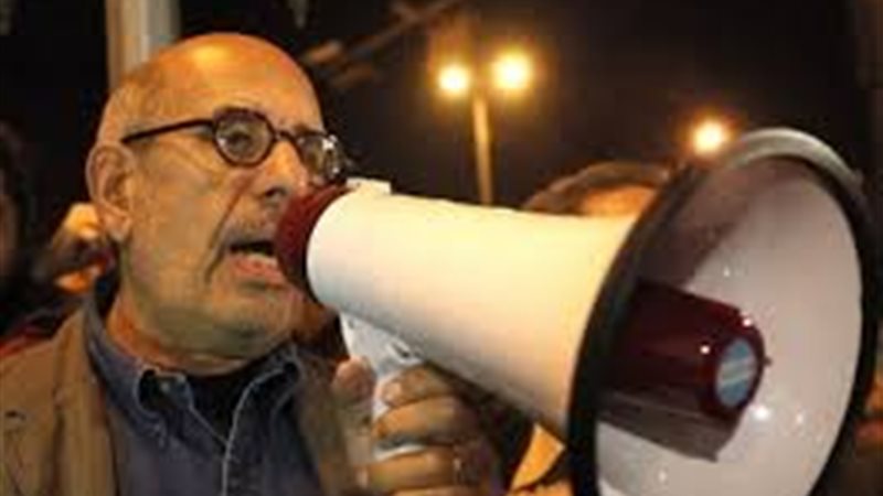د.محمد البرادعى 