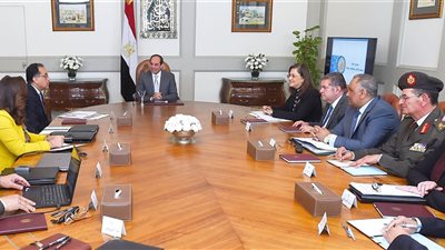 السيسي يوجه بتعظيم فرص الاستثمار الأجنبي في مشروع مدينة دمياط للأثاث