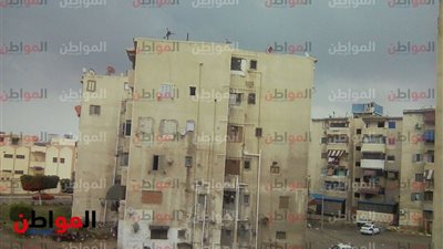 صور| بعد تحسُن الأحوال الجوية.. طقس بارد وسقوط أمطار ببورسعيد 