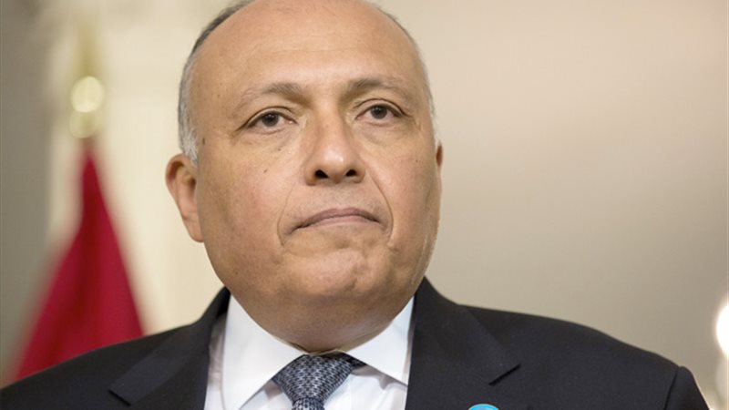 سامح شكري