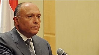 «شكري» في اجتماع وزراء الخارجية العرب: يجب طي صفحة ليبيا الحزينة