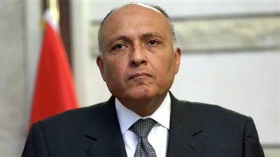 «شكري» يبرز القضية الفلسطينية في اجتماع وزراء الخارجية العرب