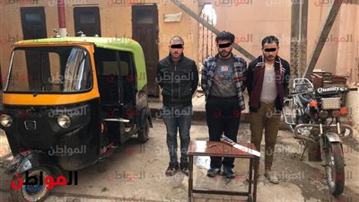 ضبط 3 مسجلين اعتدوا على سائق توك توك في كفر الشيخ 
