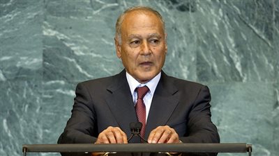 «أبو الغيط»: يجب وقف التدخلات التركية والإيرانية بالإقليم