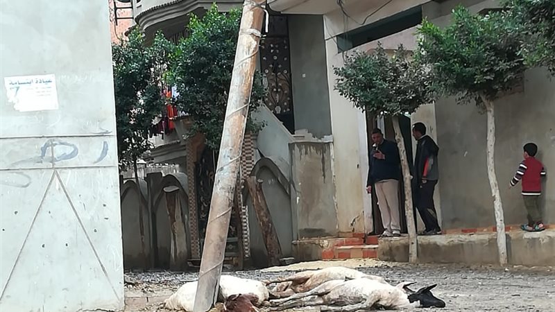 صيانة أعمدة الكهرباء