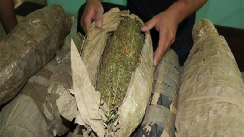 مخدر البانجو 