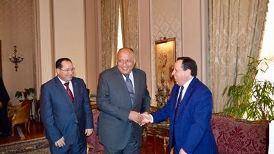 صور| سامح شكري يستقبل وزير خارجية تونس خميس الجهيناوي