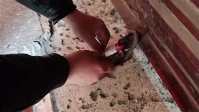 حملات مكبرة لـ غلق المقاهي المخالفة في الشرقية