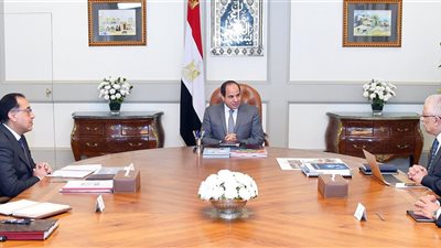 الرئيس السيسي يجتمع بوزيري التعليم