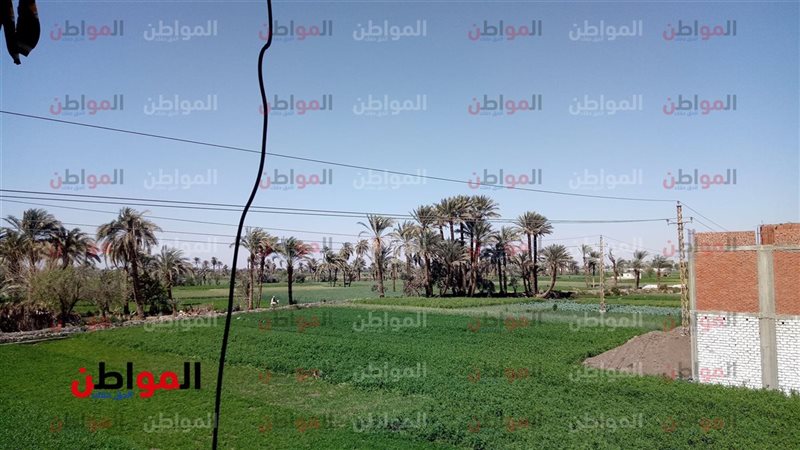 الطقس الآن بالفيوم