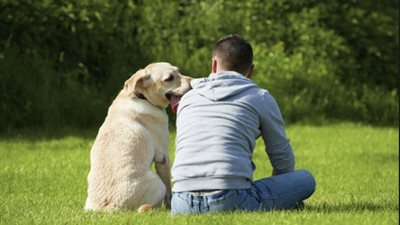 هو ده الوفاء.. كلب ضحى بحياته لإنقاذ أصحابه